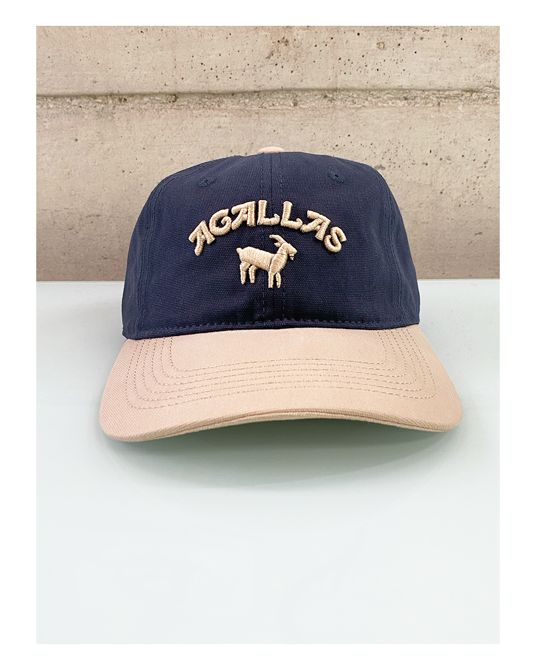 Gorro - The Goat dad hat
